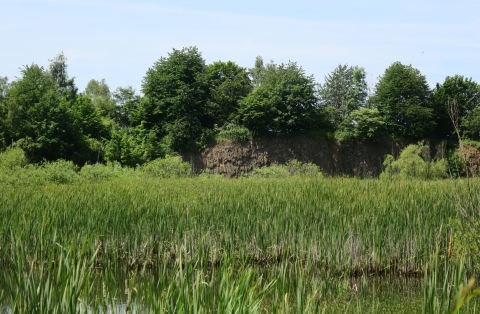 Železný Brod-Pelechov